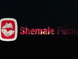 barbara latina hard sex shemale video shemalefucker