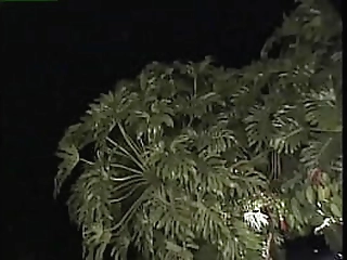 shemale foxxy gets to 69 with a guy