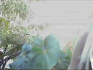 stunning tgirl natalie mars and cherry torn s kinky flip fuck