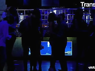 brazilian transgirl adriana rodrigues fucks gui tavares