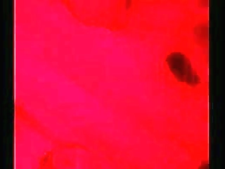 marbella gets her slut tranny ass fucked by horny stud