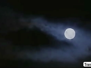 two lesbian trannies fuck and younger shemale cum semen