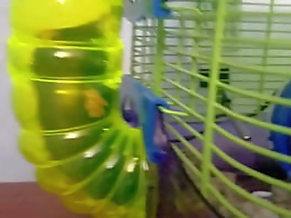 chubby ftm trans boy pees in diaper