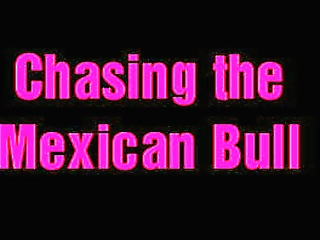 jazzy ladyboy tom sucks a hard cock gets her pussy fucked