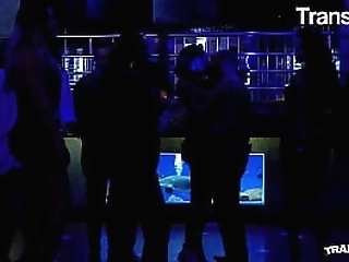 irene rellish flirting and stroking her her webcam fans