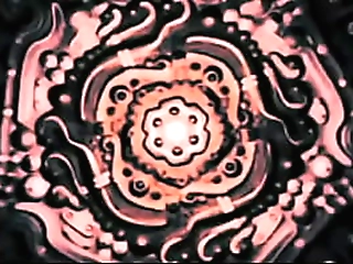 the maximum xxx ladyboy pmv 2020