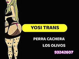 attractive t-girl sucks my love tool while stroking her own