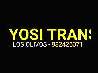 brunette shemale in tight skirt sucks cock and gets fucked on lawn