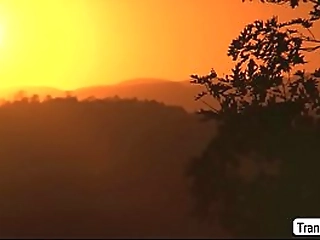 horny guy let ts sasha sucks his hard cock