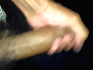 sexy brazilian shemale bruna saltelly fucked senseless and bareback