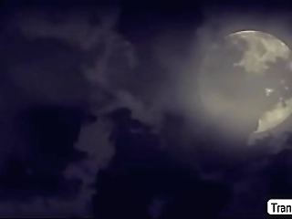 ts khloe enjoys sucking daddys hard cock