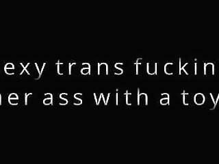 sexy trans fucking her ass with a toy.