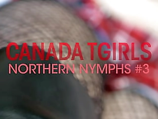 groobydvd: canada tgirl northern nymphs #3
