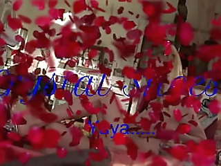 juliana s beautiful pussy pounded by brazilian shemale cock