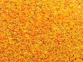 bbw thick mix shemale soul sucking a bbc