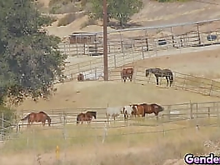 sexy nicki hunter and venus lux sharing cock in threesome