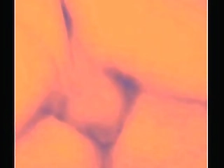 christian loves sucking nyobi s big black cock