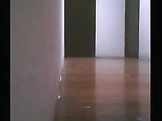 two beautiful asian shemales fucking each other