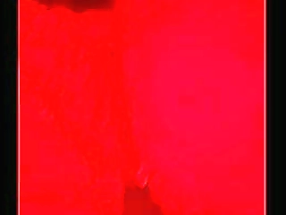 latina transgender kelly portela jerks off her rock hard boner