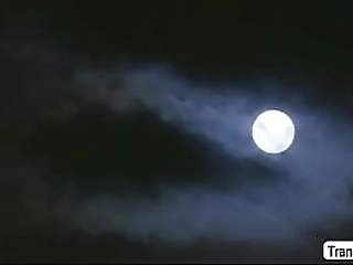 tgirl khloe gets fuck in favorite positions