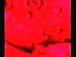 shemale bruna castro is buttfucked bareback