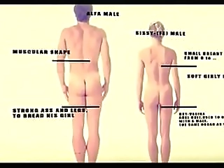 leticia freitas and litizia sallis in: deep anal shemale