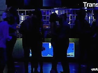 blonde hot shemale masturbates while dude fucking her