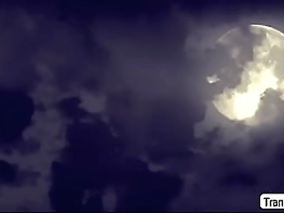 tbabe khloe enjoys sucking boner