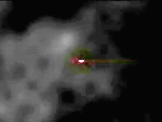 trans slut anal banged by horny guy by the pool