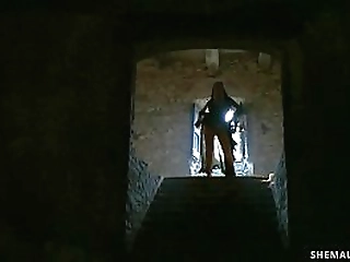 curvy ebony shemale fucks repairman