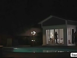 stunning shemale pamela anderson jacking off her dick