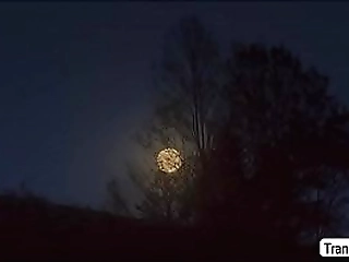 ts kayleigh enjoys banging her bfs ass