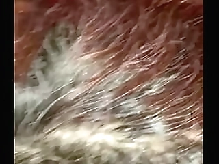 behold these stunning shemales expertly performing their cocksucking duties