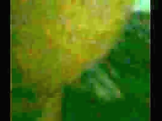 dirty street ladyboy cums a lot after jerking off her she cock