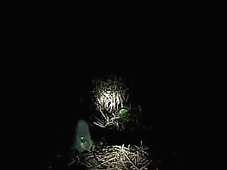 fat slut masturbating and busting her anus with strange huge dildos