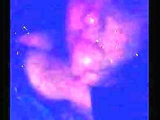 hard intense shemale sex for a wild stud