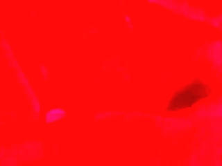 horny christmas tranny dream gets a butt plug deep in her gape