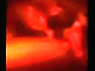 diva shemale sucks and fucks