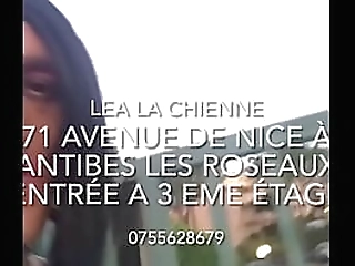 abattage de lea la chienne