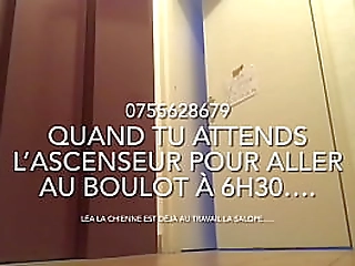 tranny icey geshemale naughty alone